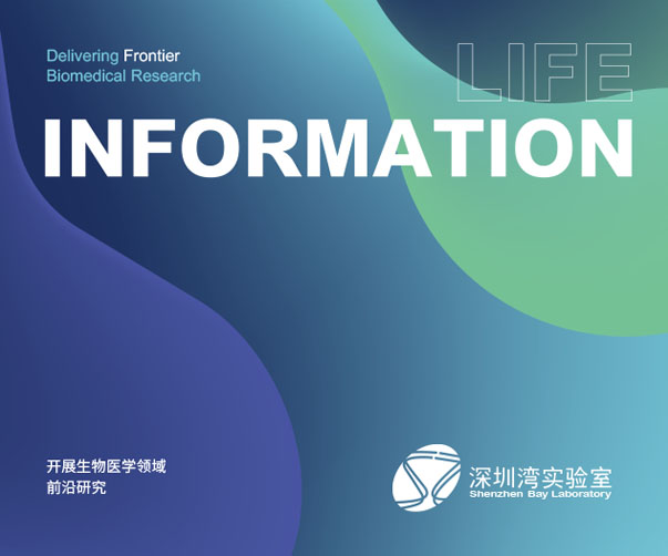 巨頭重塑識(shí)別力——亞馬遜、沃爾瑪與Adobe的商標(biāo)戰(zhàn)略
